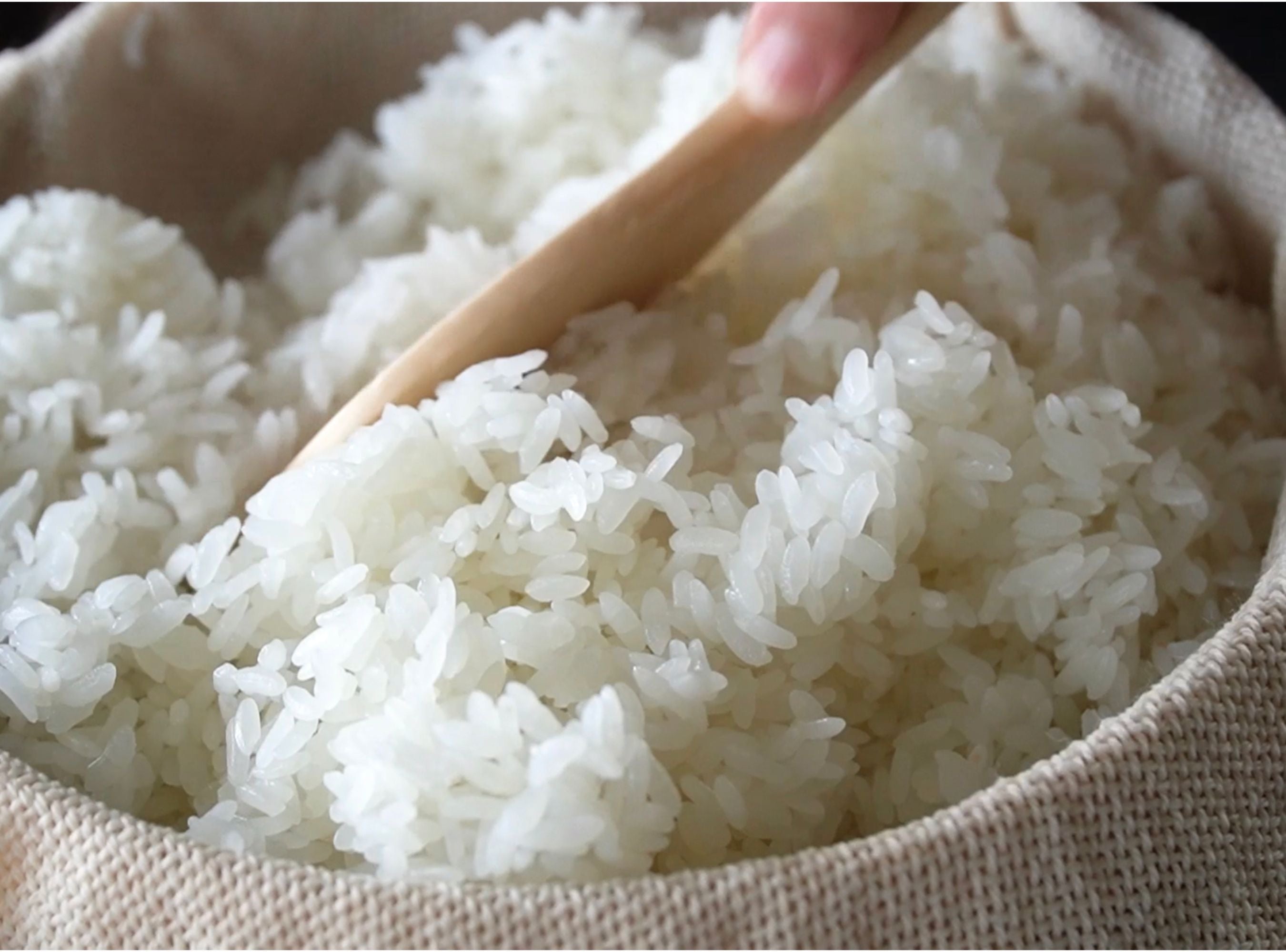 【追加購入】蒸し布巾「TSUTSUMU-ツツム-」